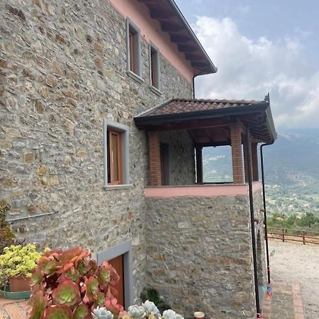 Albanella Tenuta Il Giardino Di Eros מראה חיצוני תמונה